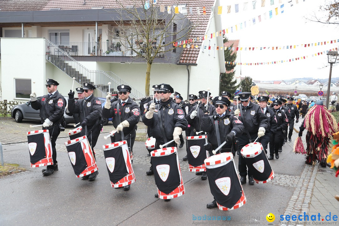Narrenbaumstellen: Berg am Bodensee, 26.01.2019