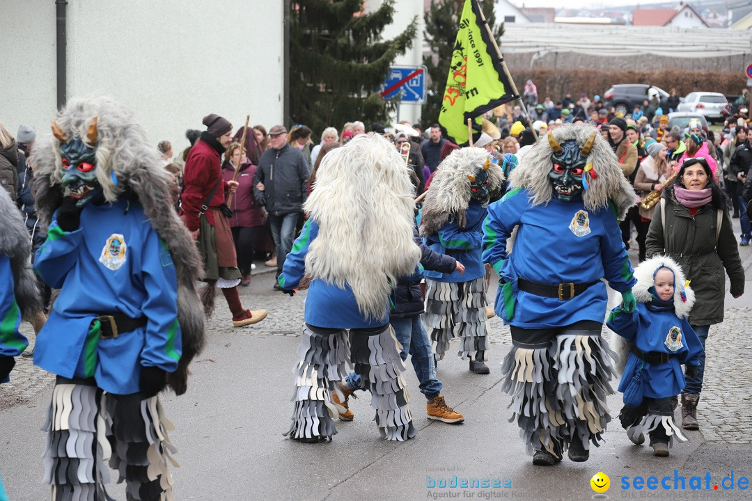 Narrenbaumstellen: Berg am Bodensee, 26.01.2019