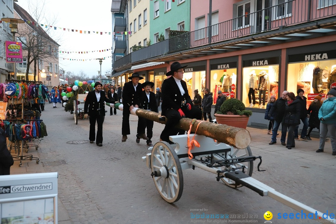 Gruenderumzug und Narrenbaumstellen: Friedrichshafen, 02.02.2019