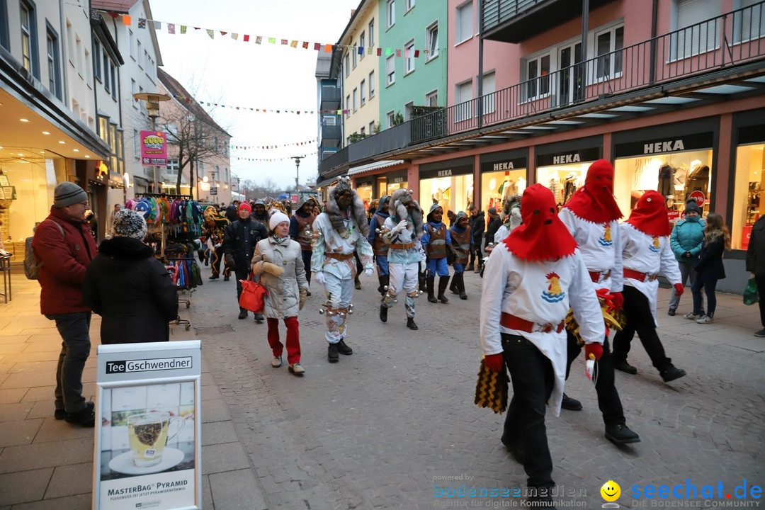 Gruenderumzug und Narrenbaumstellen: Friedrichshafen, 02.02.2019