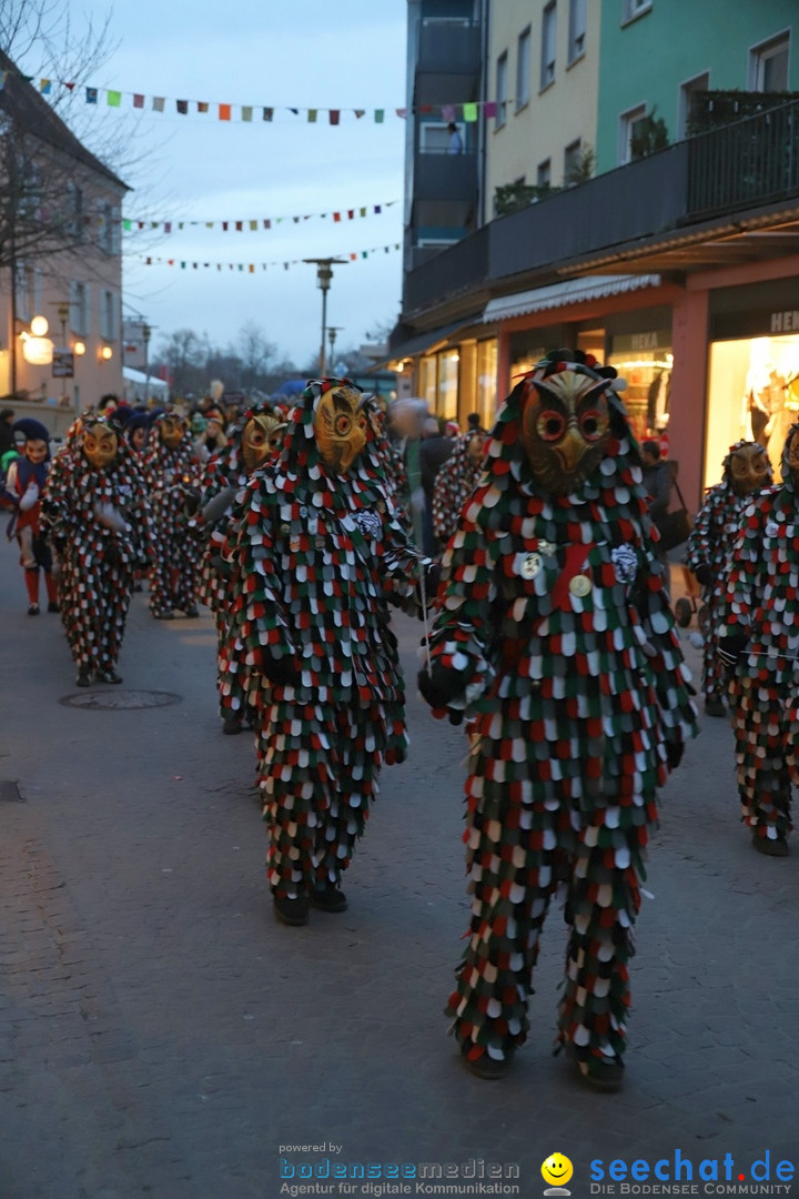 Gruenderumzug und Narrenbaumstellen: Friedrichshafen, 02.02.2019