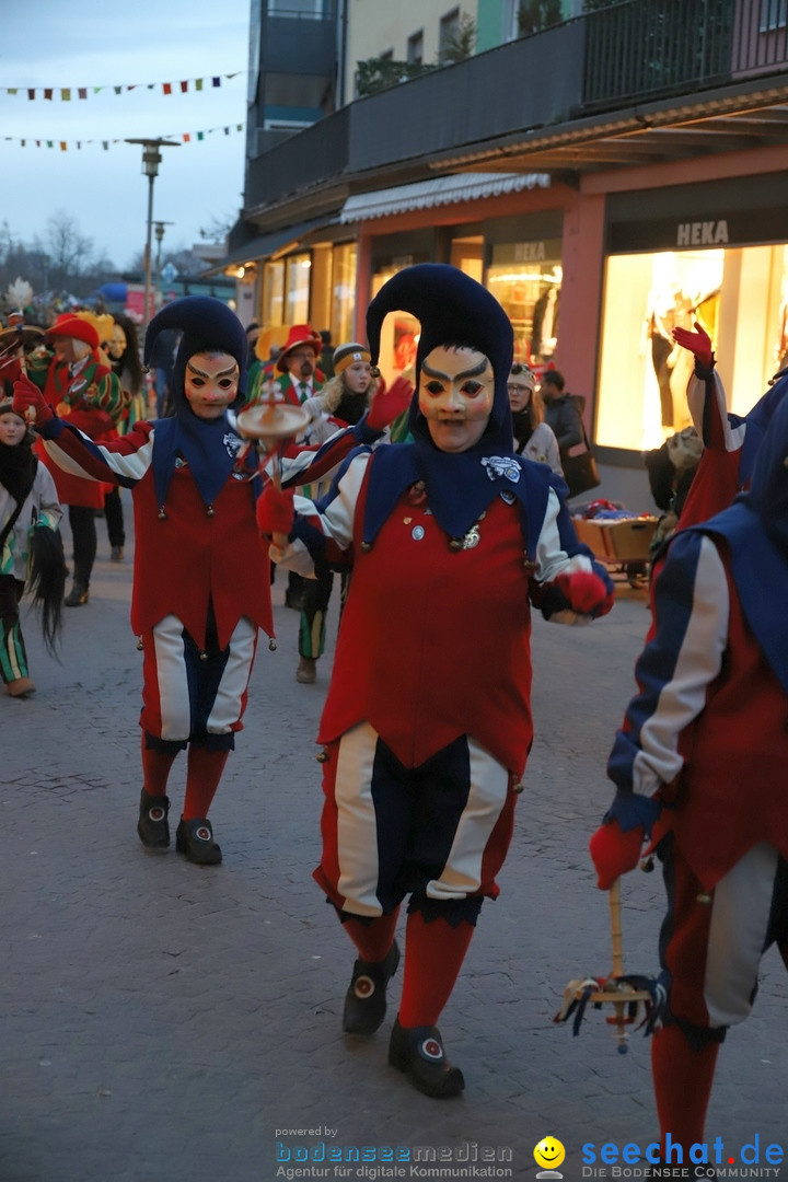 Gruenderumzug und Narrenbaumstellen: Friedrichshafen, 02.02.2019