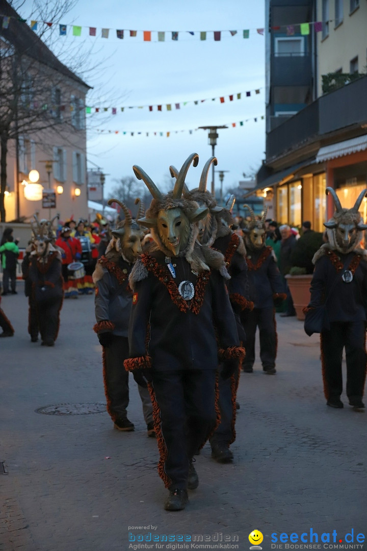 Gruenderumzug und Narrenbaumstellen: Friedrichshafen, 02.02.2019