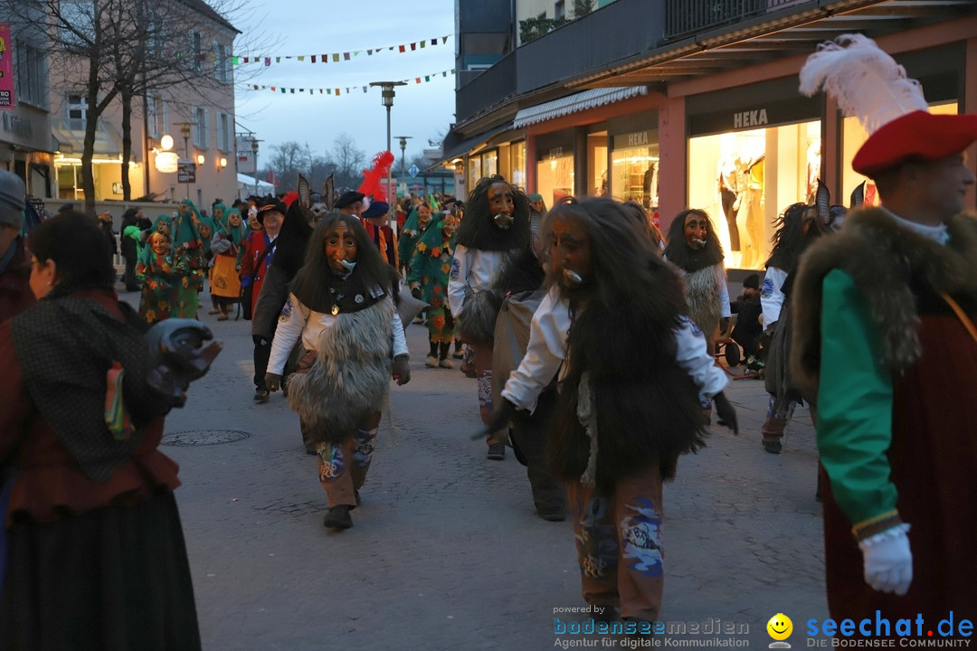 Gruenderumzug und Narrenbaumstellen: Friedrichshafen, 02.02.2019