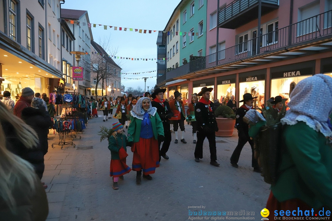 Gruenderumzug und Narrenbaumstellen: Friedrichshafen, 02.02.2019