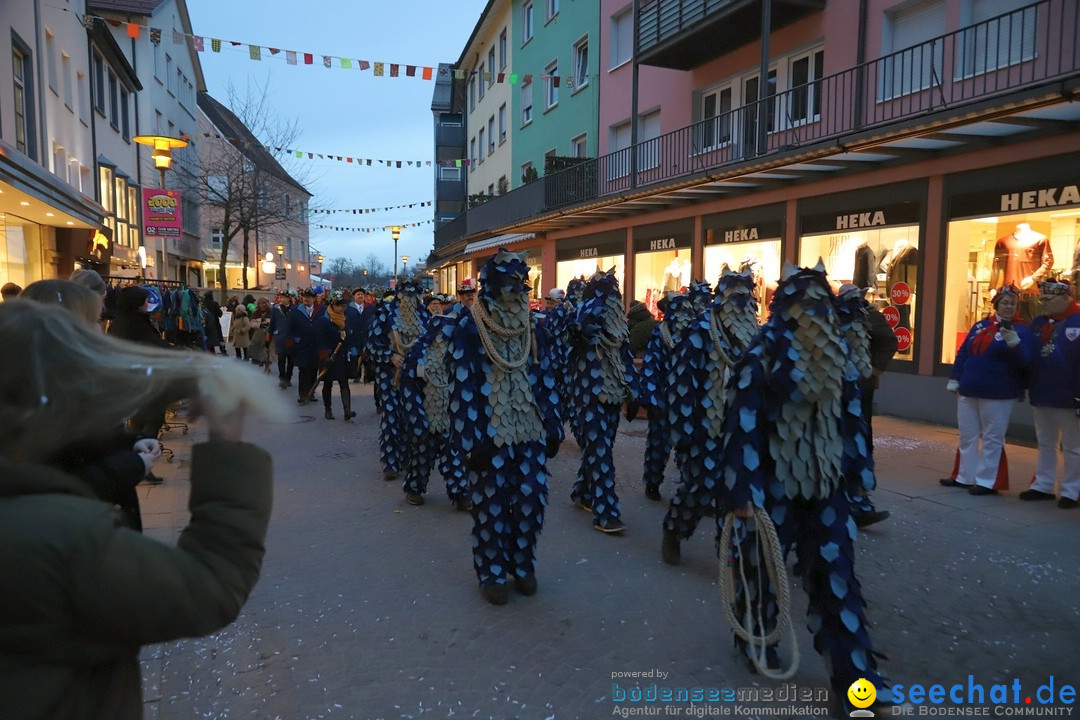Gruenderumzug und Narrenbaumstellen: Friedrichshafen, 02.02.2019