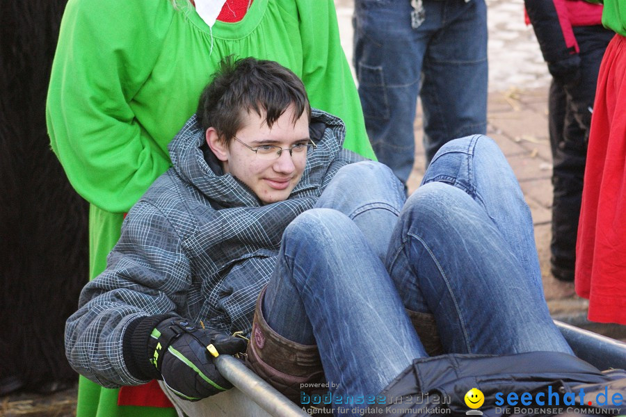 Narrenumzug: Villingen, 16.02.2010