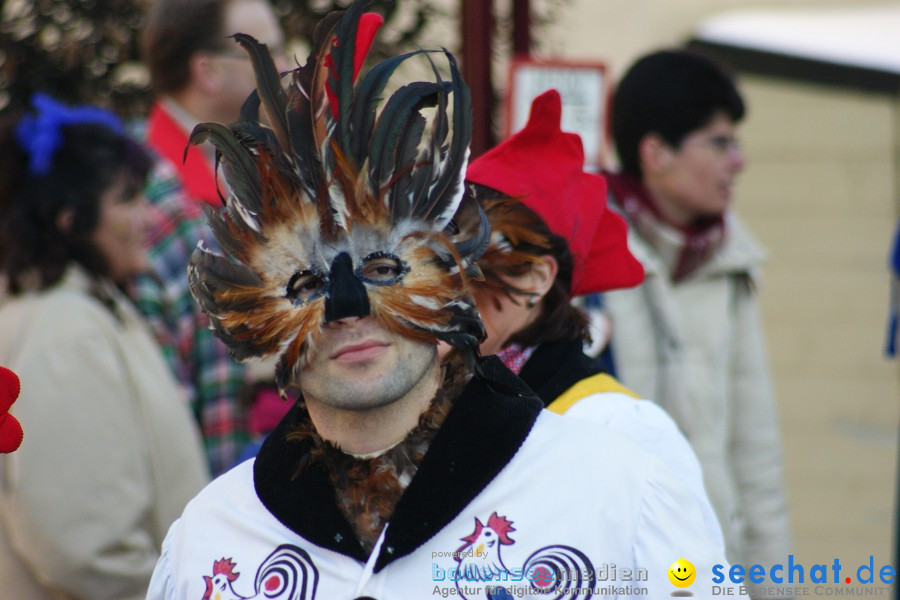 Narrenumzug: Villingen, 16.02.2010