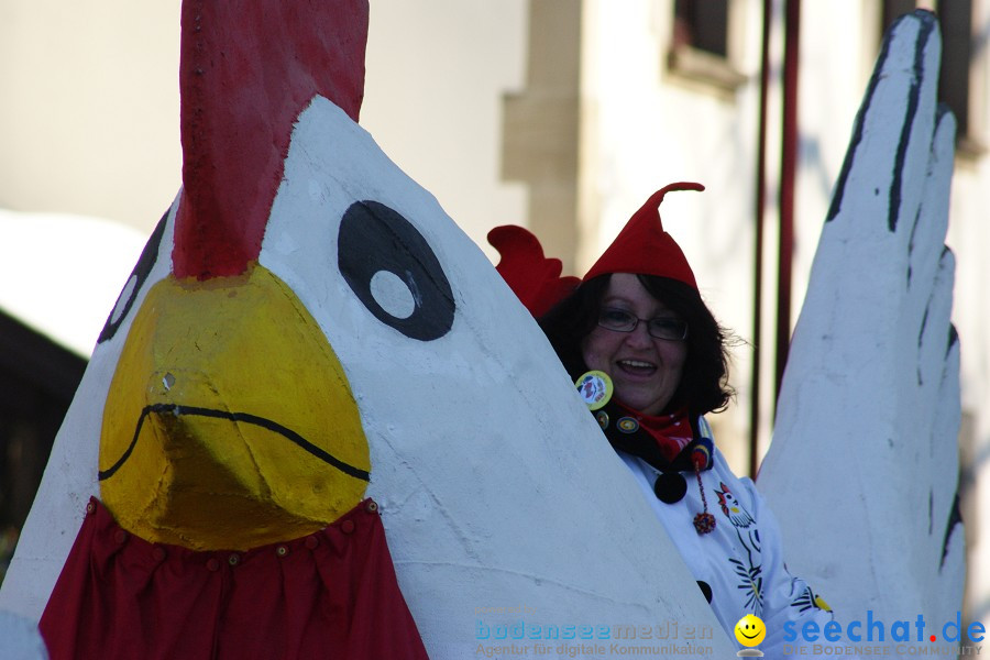 Narrenumzug: Villingen, 16.02.2010