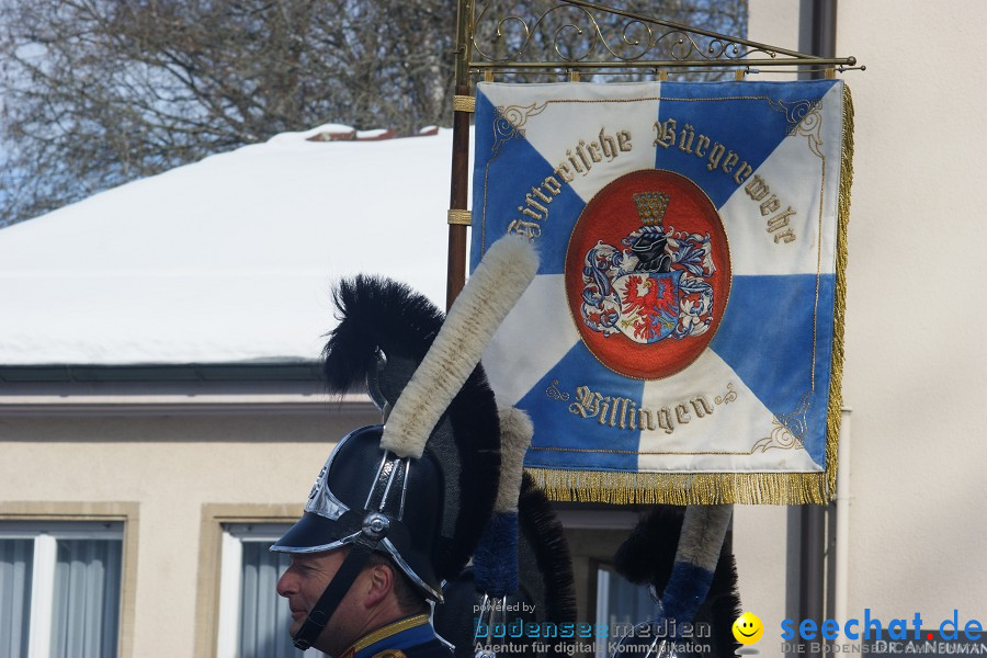 Narrenumzug: Villingen, 16.02.2010