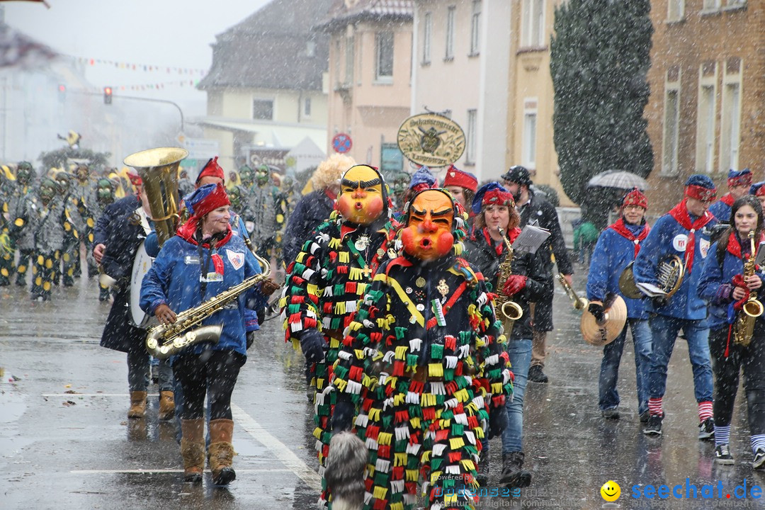 ANR - Fasnetsumzug: Friedrichshafen am Bodensee, 03.02.2019