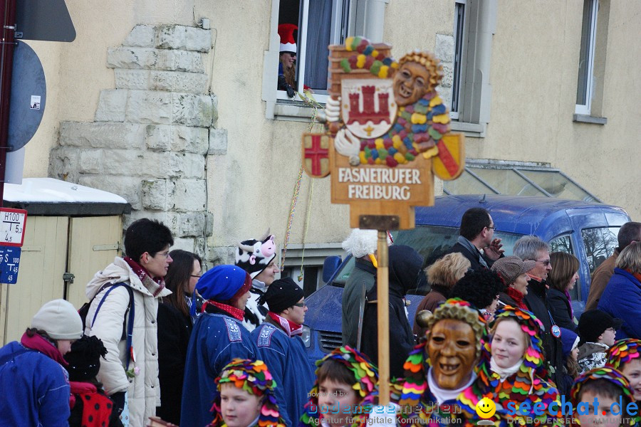 Narrenumzug: Villingen, 16.02.2010