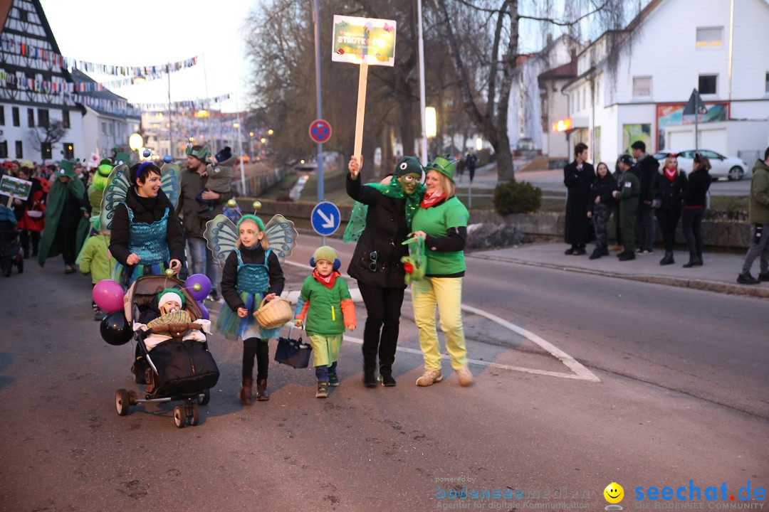40 Jahre Urviecherzunft - Umzug: Bad Duerrheim, 16.02.2019