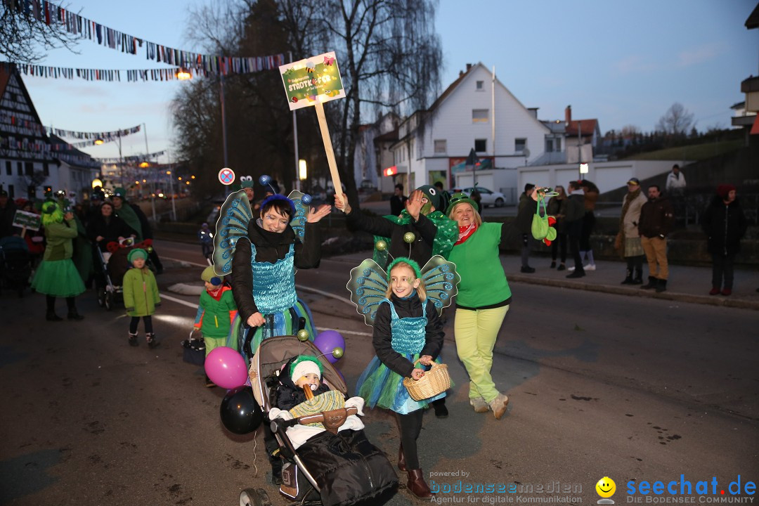 40 Jahre Urviecherzunft - Umzug: Bad Duerrheim, 16.02.2019