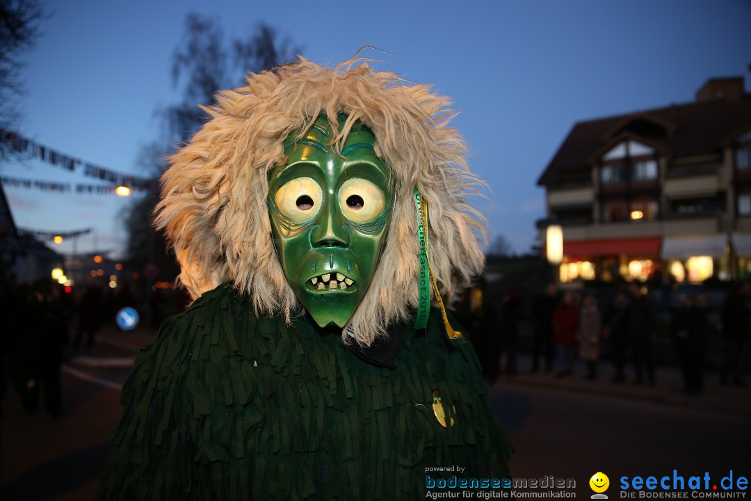 40 Jahre Urviecherzunft - Umzug: Bad Duerrheim, 16.02.2019
