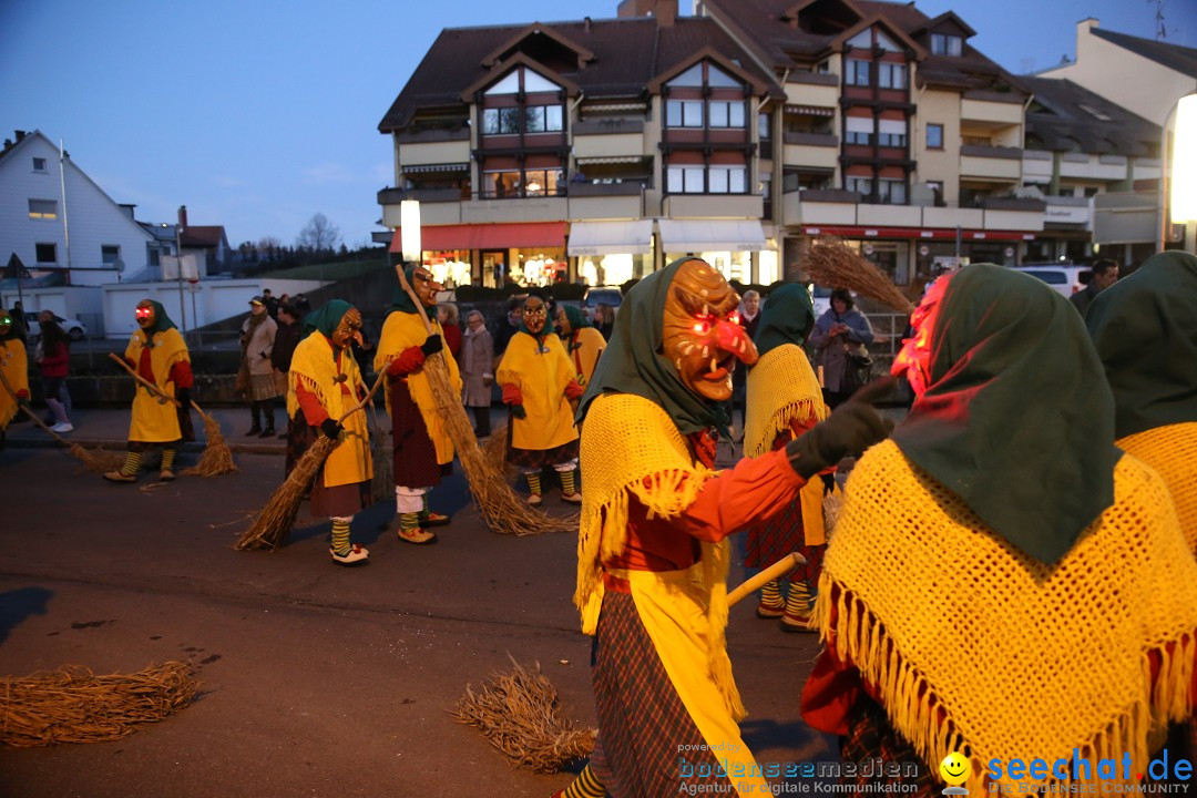 40 Jahre Urviecherzunft - Umzug: Bad Duerrheim, 16.02.2019