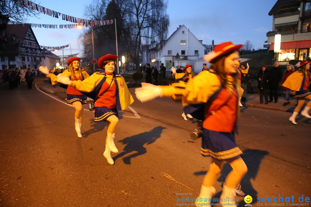 40 Jahre Urviecherzunft - Umzug: Bad Duerrheim, 16.02.2019