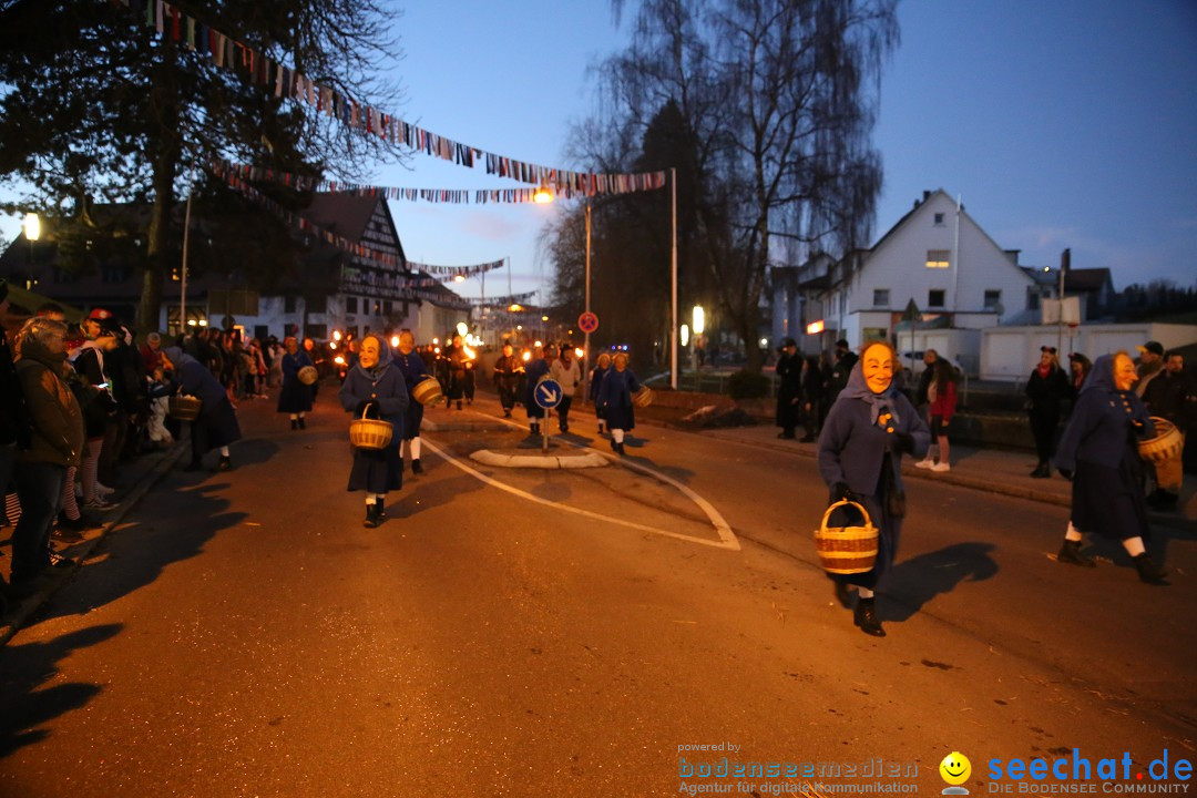 40 Jahre Urviecherzunft - Umzug: Bad Duerrheim, 16.02.2019