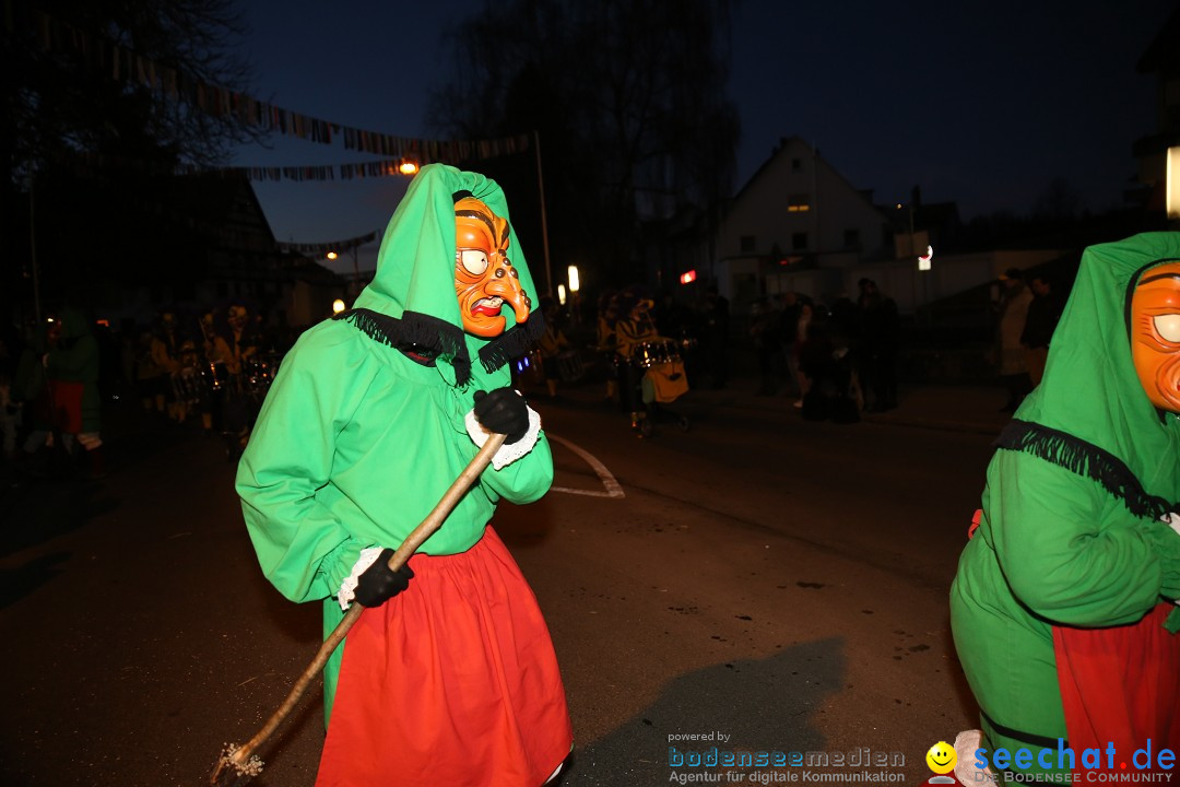 40 Jahre Urviecherzunft - Umzug: Bad Duerrheim, 16.02.2019