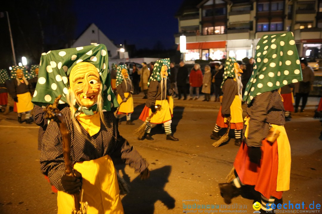 40 Jahre Urviecherzunft - Umzug: Bad Duerrheim, 16.02.2019