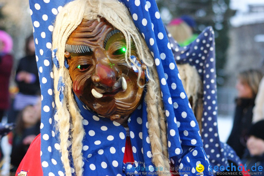 Narrenumzug: Villingen, 16.02.2010