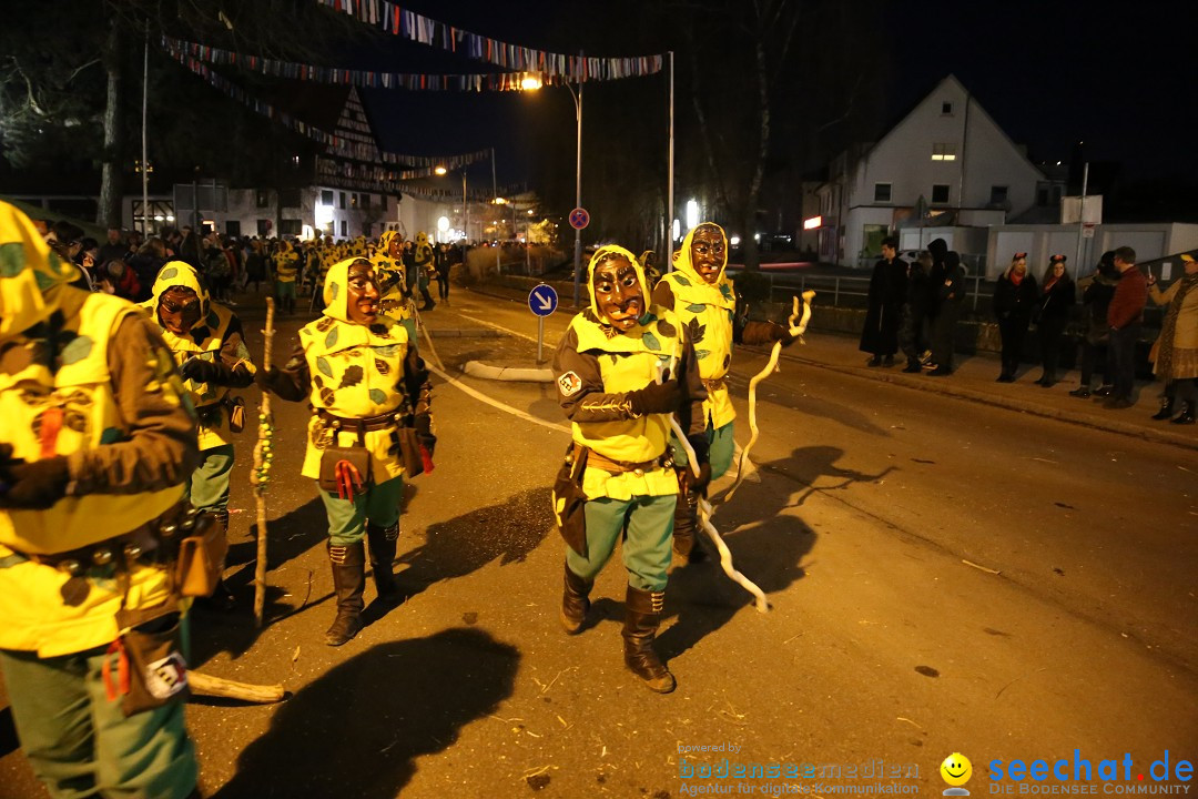 40 Jahre Urviecherzunft - Umzug: Bad Duerrheim, 16.02.2019