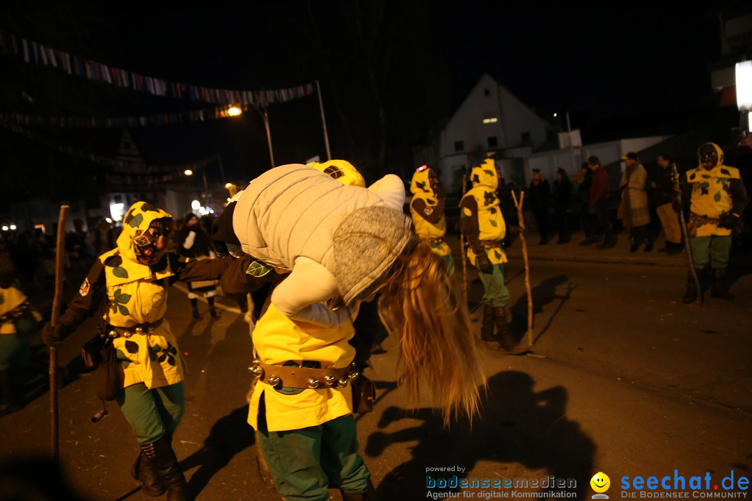 40 Jahre Urviecherzunft - Umzug: Bad Duerrheim, 16.02.2019