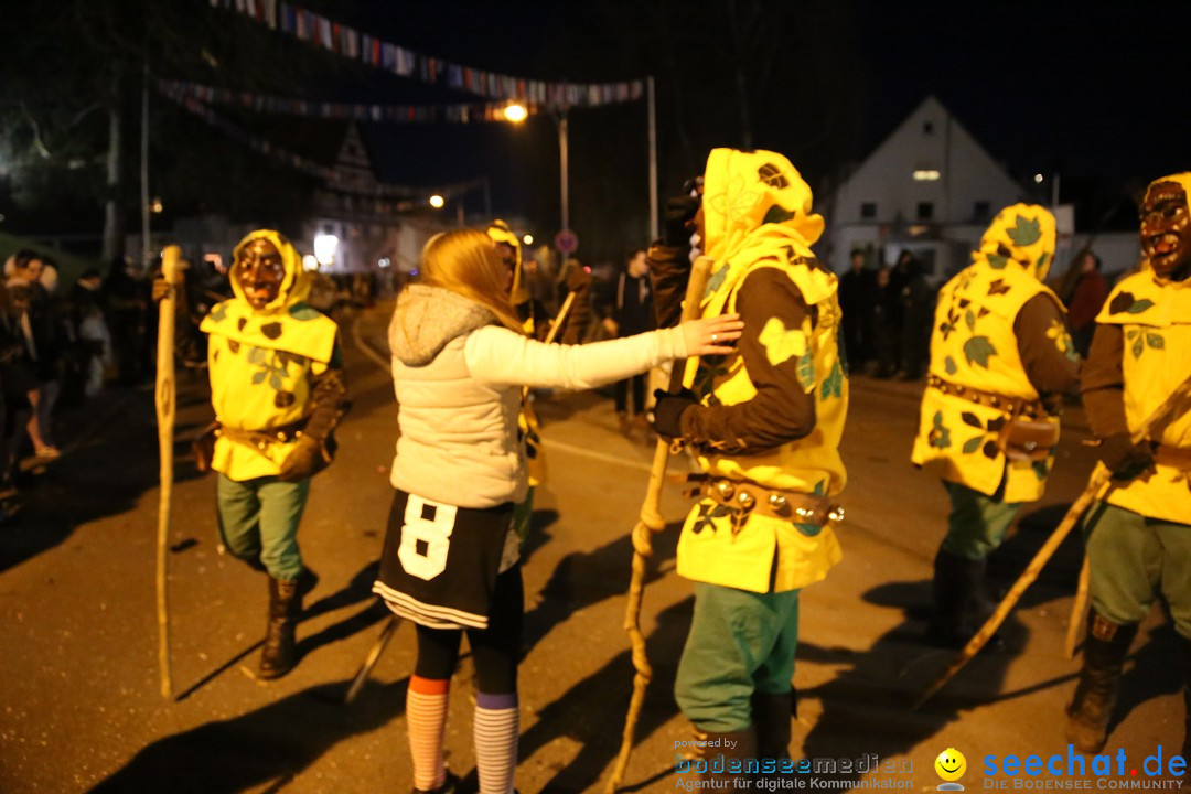 40 Jahre Urviecherzunft - Umzug: Bad Duerrheim, 16.02.2019
