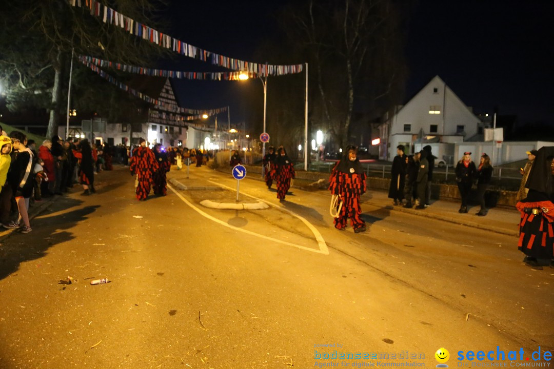 40 Jahre Urviecherzunft - Umzug: Bad Duerrheim, 16.02.2019