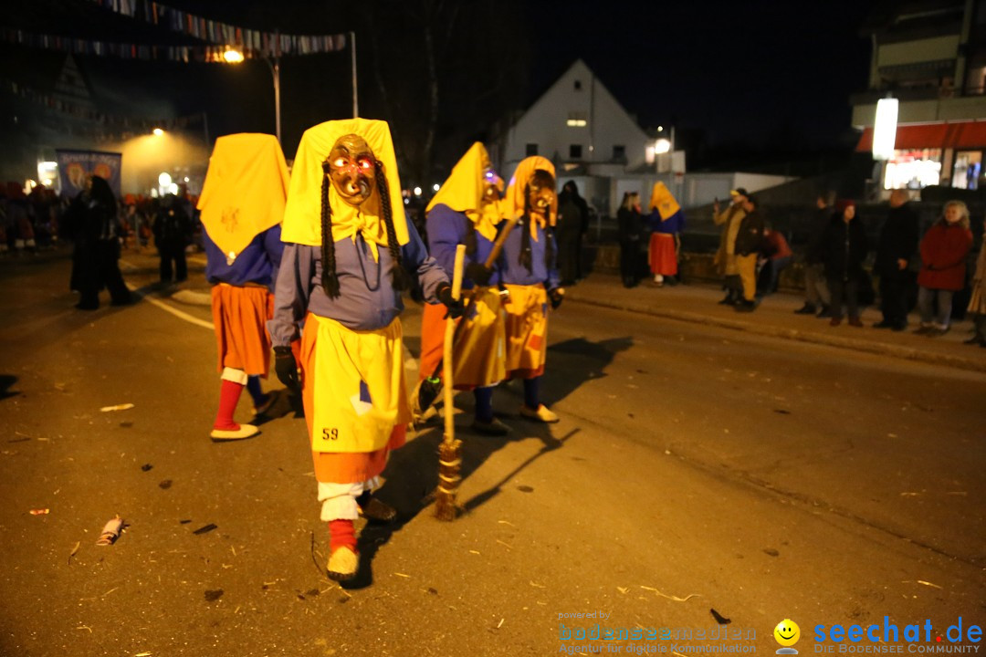 40 Jahre Urviecherzunft - Umzug: Bad Duerrheim, 16.02.2019