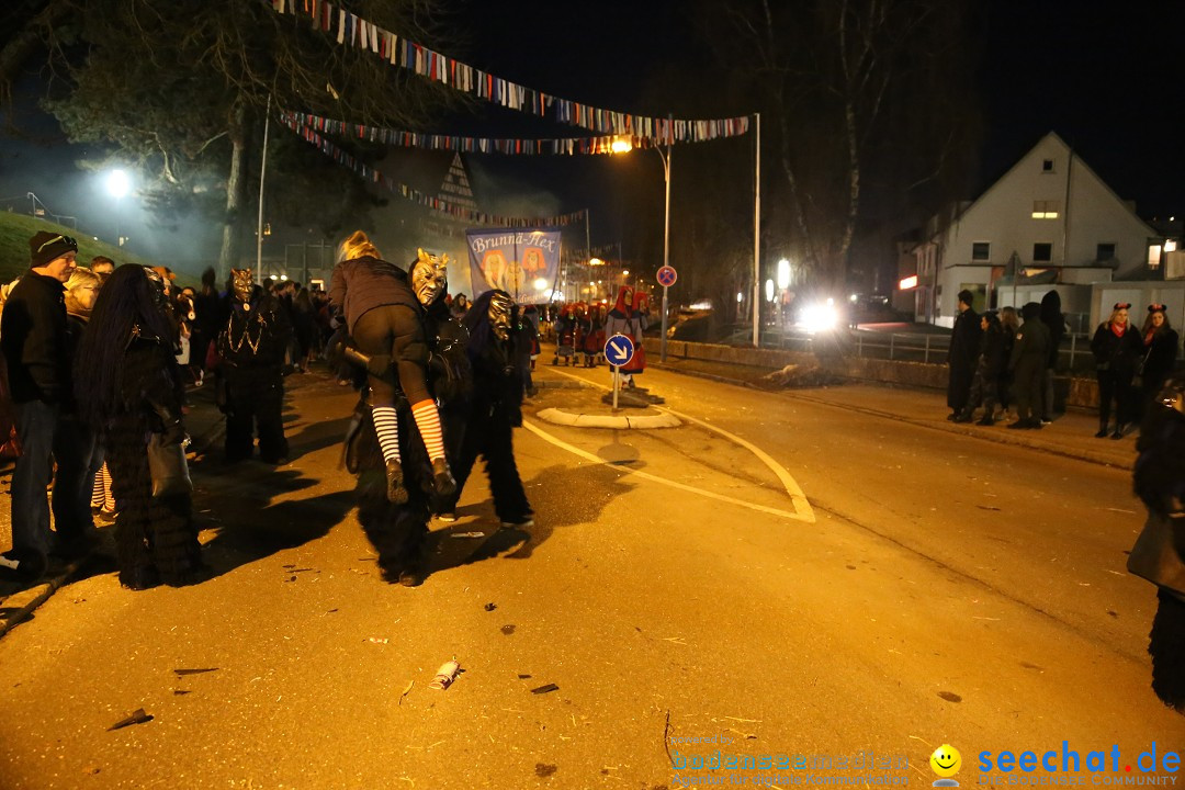 40 Jahre Urviecherzunft - Umzug: Bad Duerrheim, 16.02.2019