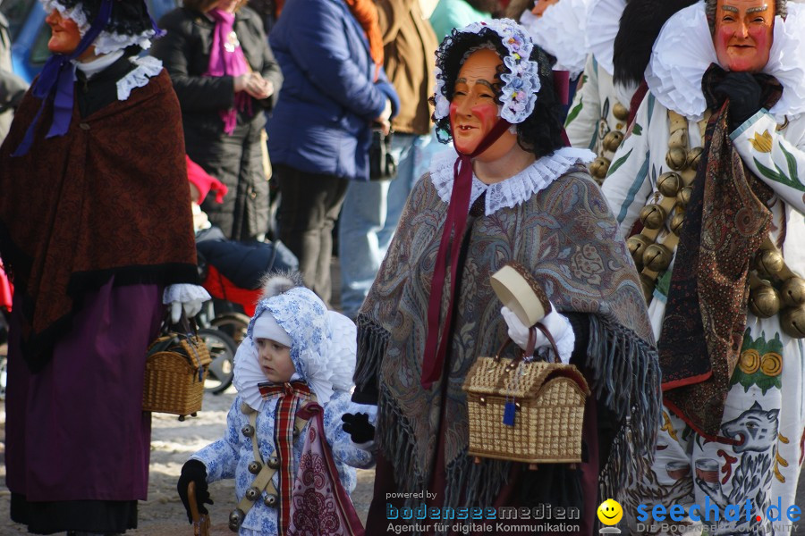 Narrenumzug: Villingen, 16.02.2010