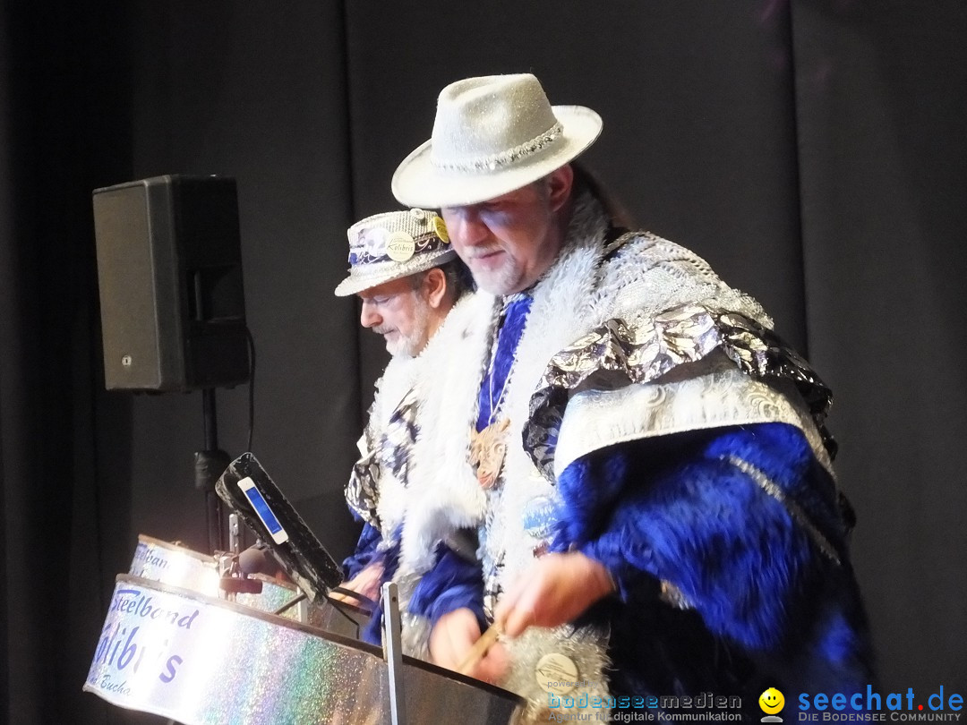 Bandscheibenball 2019: Bad Buchau am Bodensee, 22.02.2019