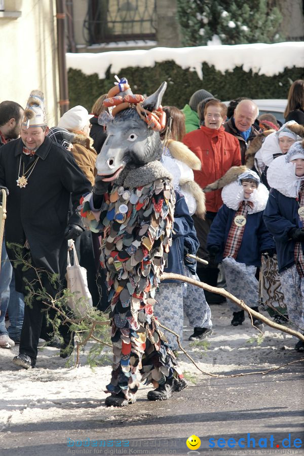 Narrenumzug: Villingen, 16.02.2010