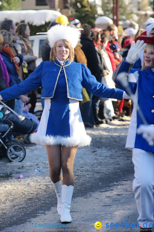 Narrenumzug: Villingen, 16.02.2010
