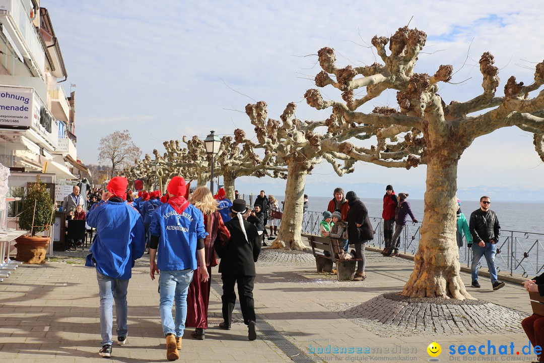 Fasnetsumzug mit Narrenbaumstellen: Meersburg am Bodensee, 24.02.2019
