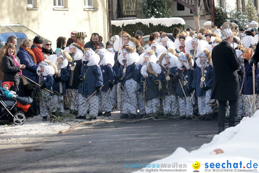 Narrenumzug: Villingen, 16.02.2010