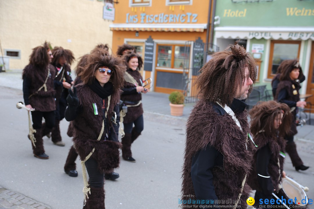 Fasnetsumzug mit Narrenbaumstellen: Meersburg am Bodensee, 24.02.2019