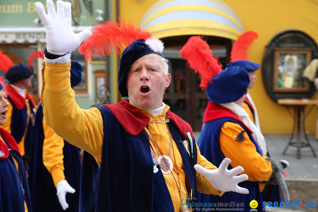 Fasnetsumzug mit Narrenbaumstellen: Meersburg am Bodensee, 24.02.2019