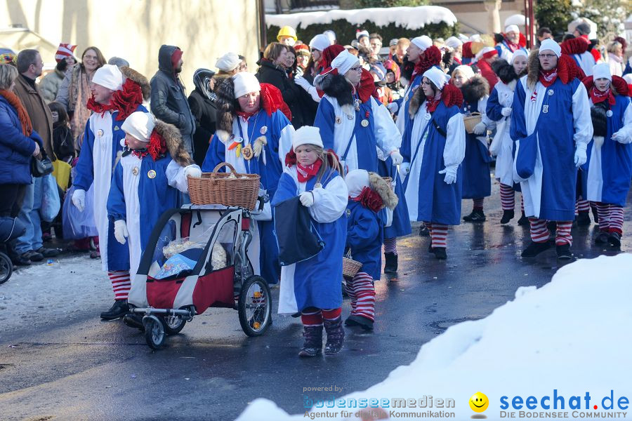 Narrenumzug: Villingen, 16.02.2010