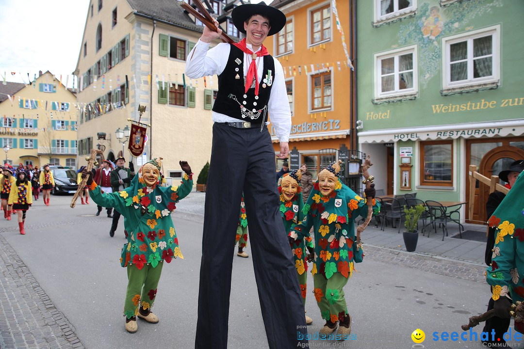 Fasnetsumzug mit Narrenbaumstellen: Meersburg am Bodensee, 24.02.2019