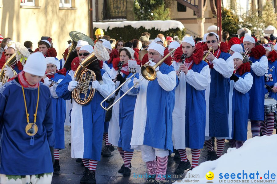Narrenumzug: Villingen, 16.02.2010