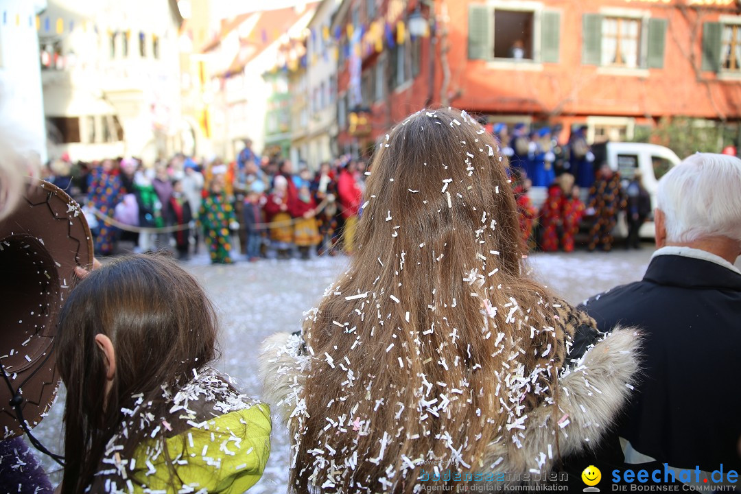 Fasnetsumzug mit Narrenbaumstellen: Meersburg am Bodensee, 24.02.2019