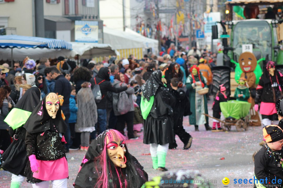 Fasnetsumzug - Fasching: Kreuzlingen am Bodensee, 24.02.2019