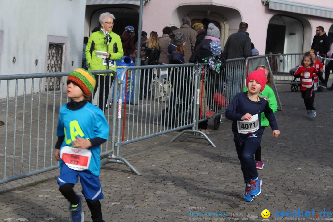 Reusslauf: Bremgarten - Schweiz, 23.02.2019