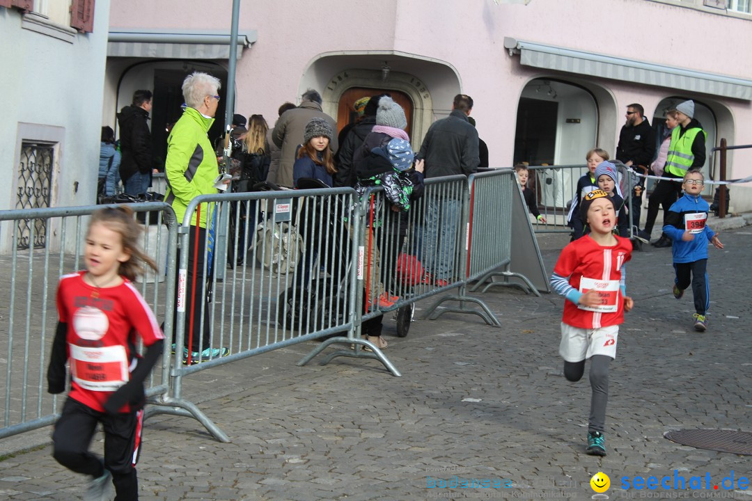Reusslauf: Bremgarten - Schweiz, 23.02.2019