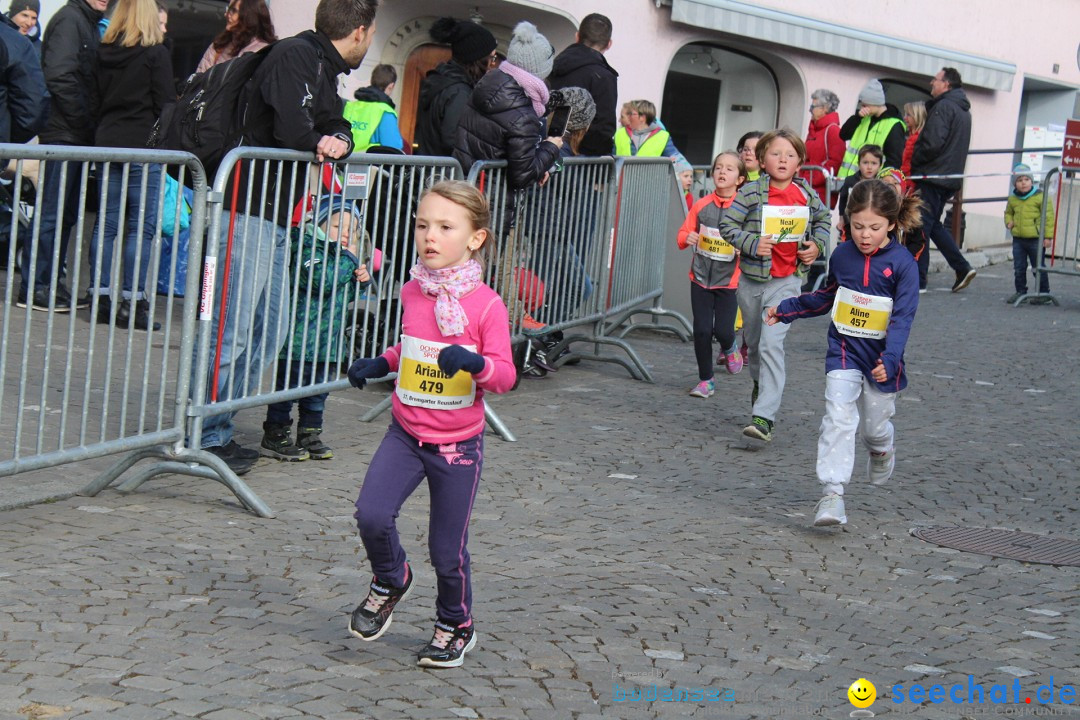 Reusslauf: Bremgarten - Schweiz, 23.02.2019