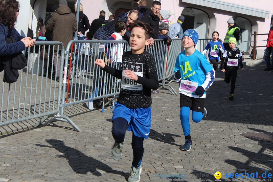 Reusslauf: Bremgarten - Schweiz, 23.02.2019