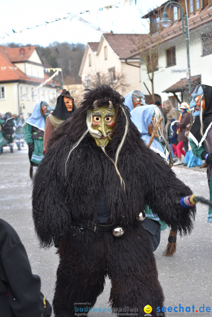 Jubilaeumsumzug - 60 Jahre Zeller Katz: Eberhardszell, 24.02.2019