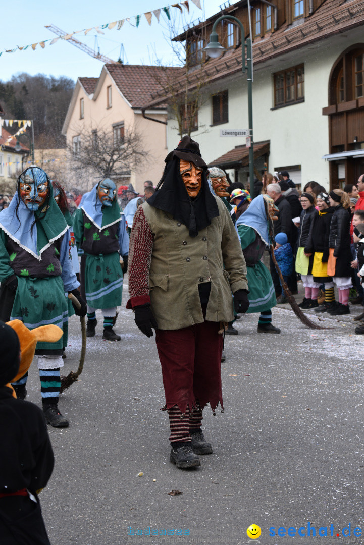 Jubilaeumsumzug - 60 Jahre Zeller Katz: Eberhardszell, 24.02.2019